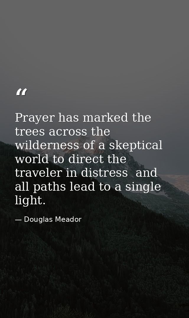 Prayer has marked the trees across the wilderness of a skeptical world to direct the traveler in distress  and all paths — Douglas Meador