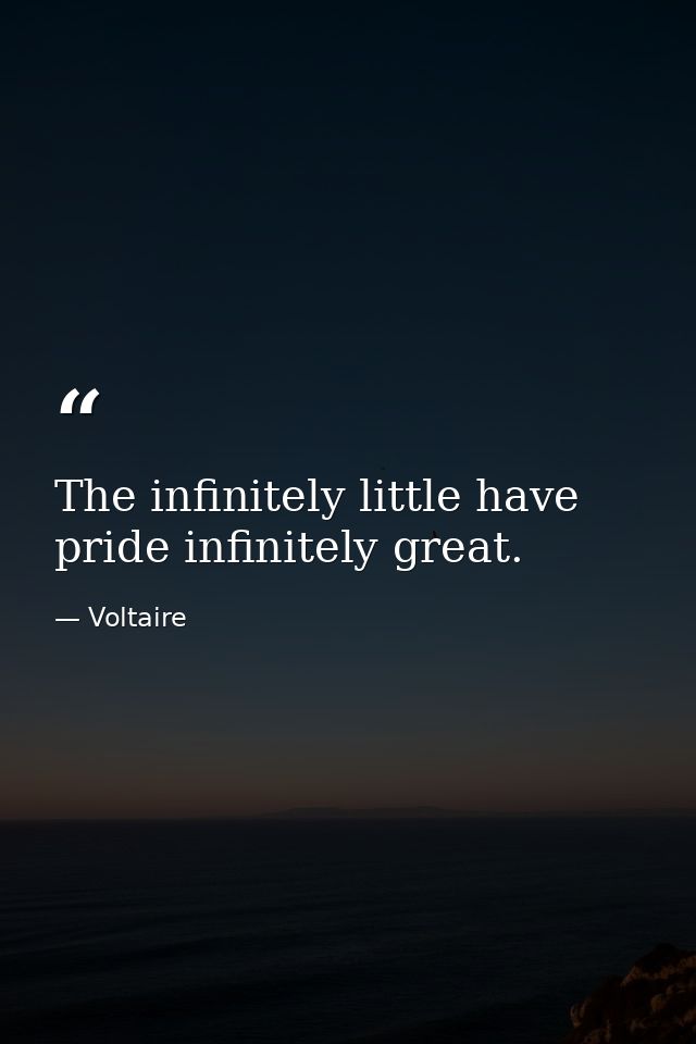 The infinitely little have pride infinitely great. — Voltaire