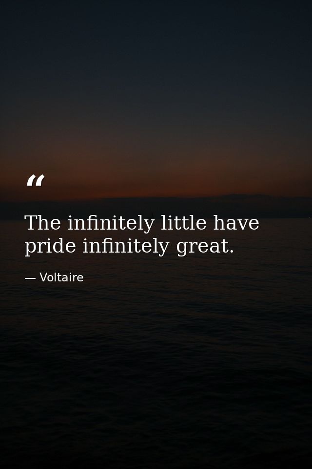 The infinitely little have pride infinitely great. — Voltaire