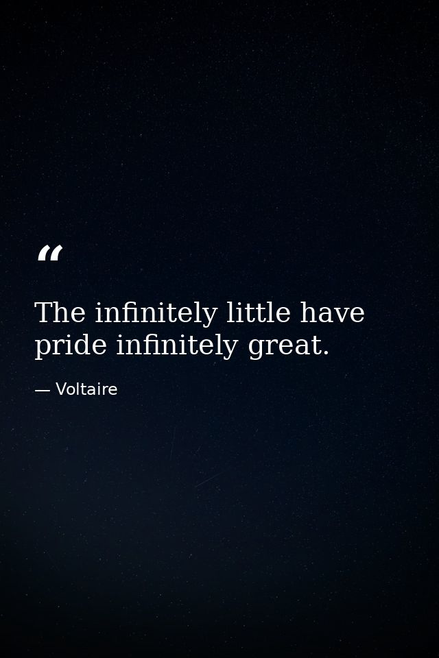 The infinitely little have pride infinitely great. — Voltaire