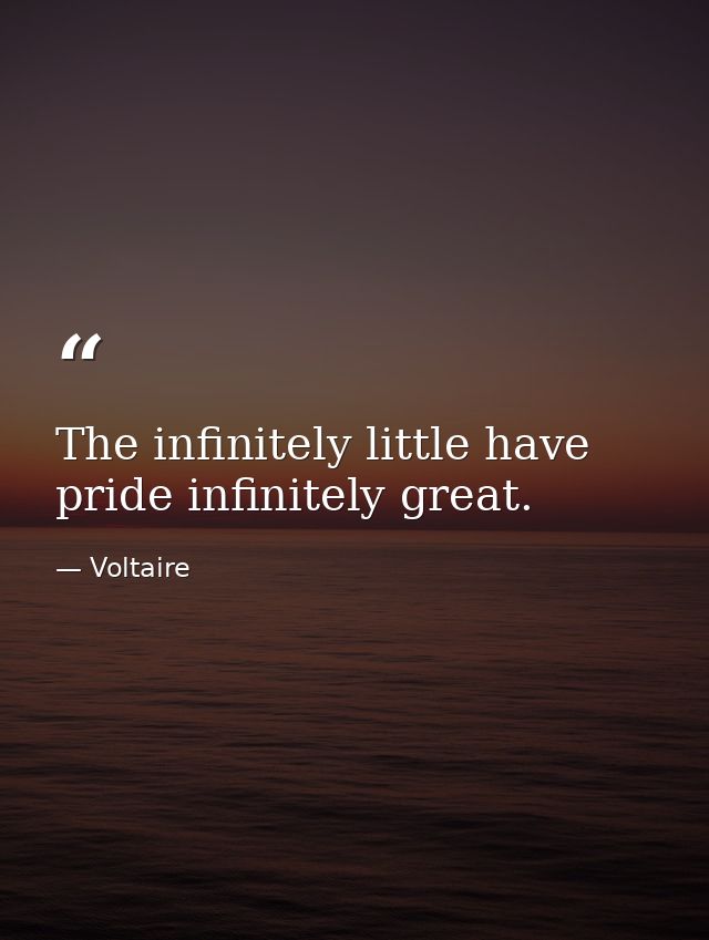 The infinitely little have pride infinitely great. — Voltaire