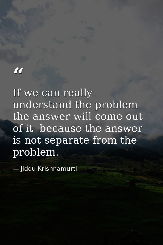If we can really understand the problem  the answer will come out of it  because the answer is not separate from the pro — Jiddu Krishnamurti