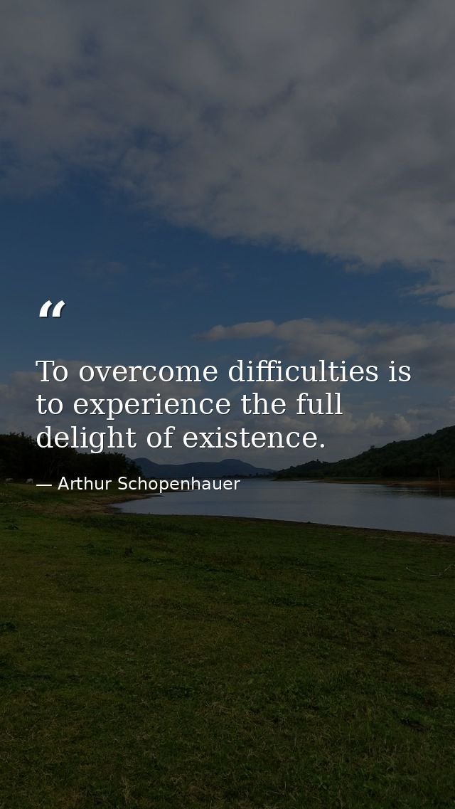 To overcome difficulties is to experience the full delight of existence. — Arthur Schopenhauer