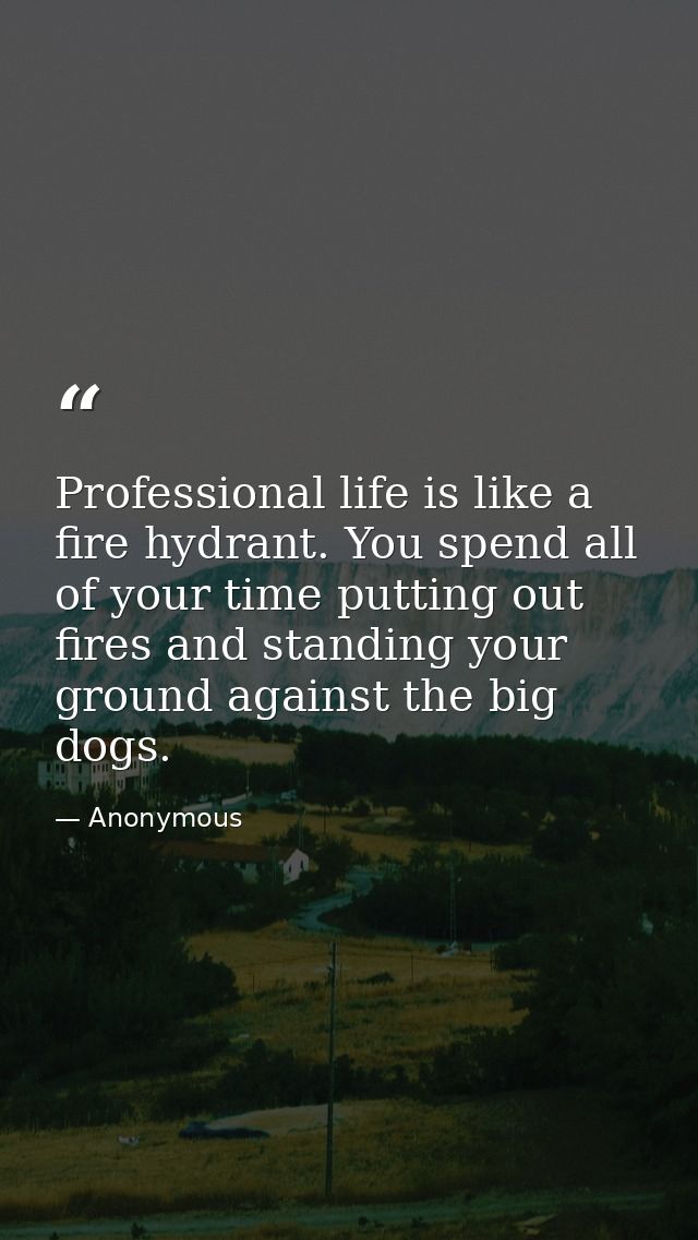 Professional life is like a fire hydrant. You spend all of your time putting out fires and standing your ground against  — Anonymous