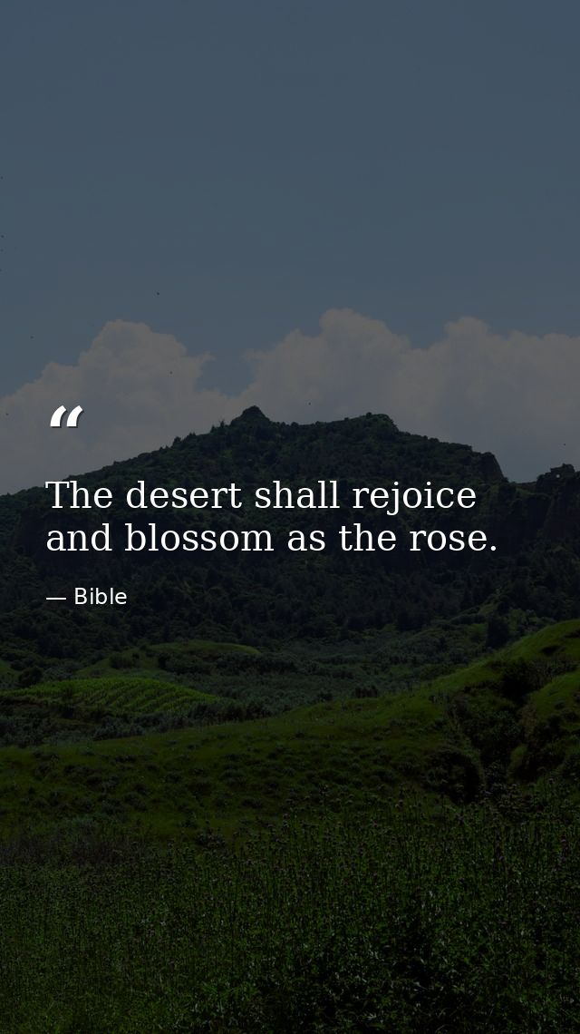 The desert shall rejoice  and blossom as the rose. — Bible