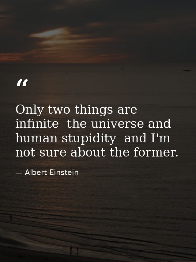 Only two things are infinite  the universe and human stupidity  and I'm not sure about the former. — Albert Einstein