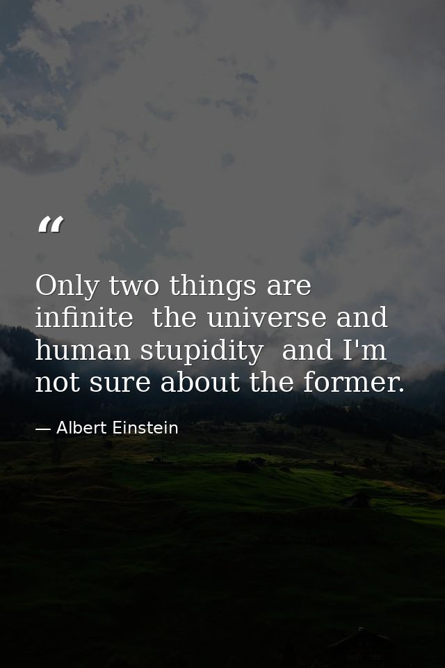 Only two things are infinite  the universe and human stupidity  and I'm not sure about the former. — Albert Einstein