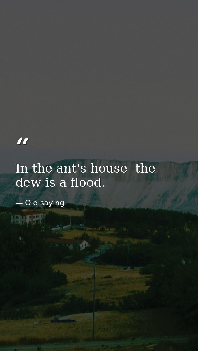In the ant's house  the dew is a flood. — Old saying