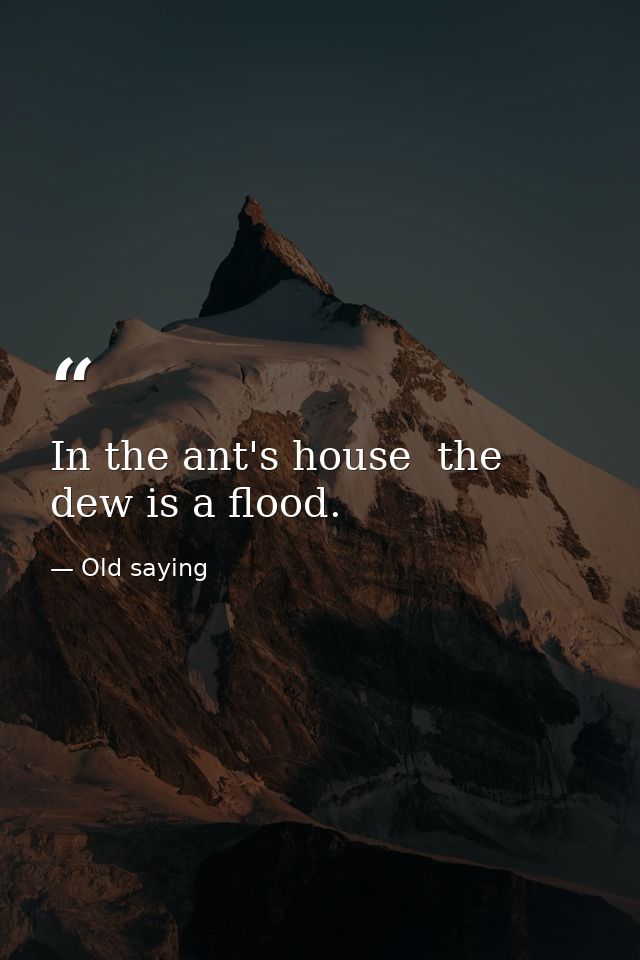 In the ant's house  the dew is a flood. — Old saying