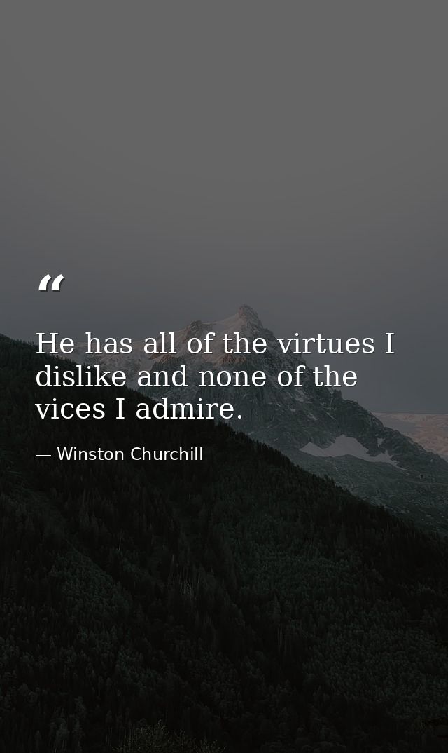He has all of the virtues I dislike and none of the vices I admire. — Winston Churchill