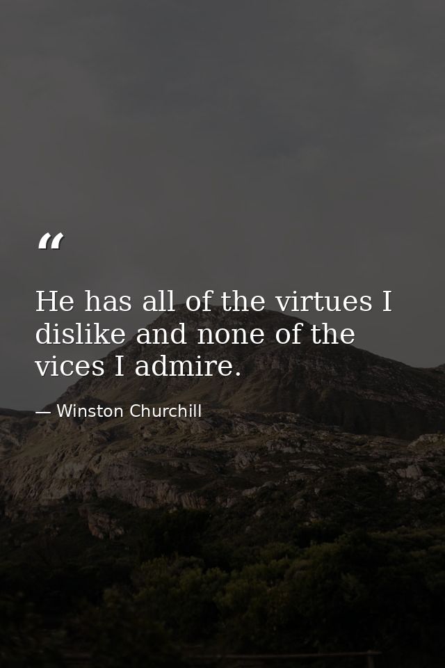 He has all of the virtues I dislike and none of the vices I admire. — Winston Churchill