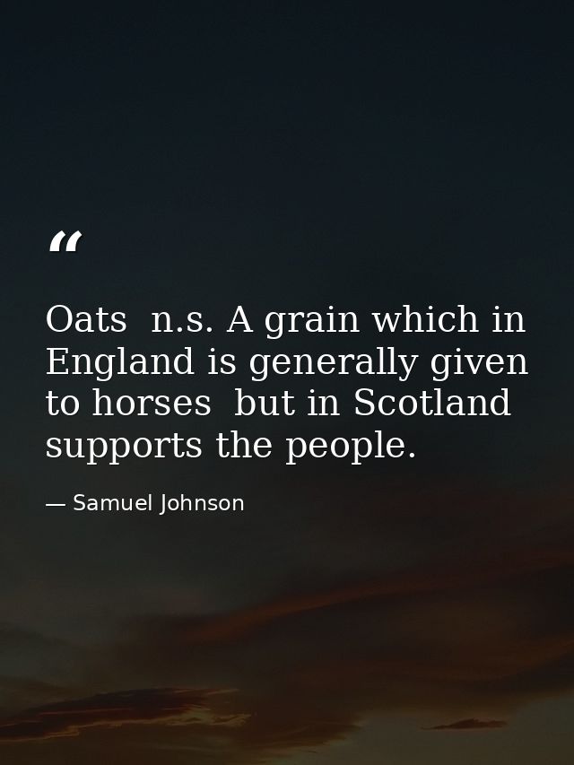 Oats  n.s. A grain which in England is generally given to horses  but in Scotland supports the people. — Samuel Johnson
