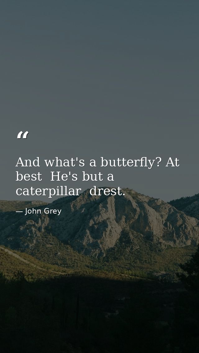 And what's a butterfly? At best  He's but a caterpillar  drest. — John Grey