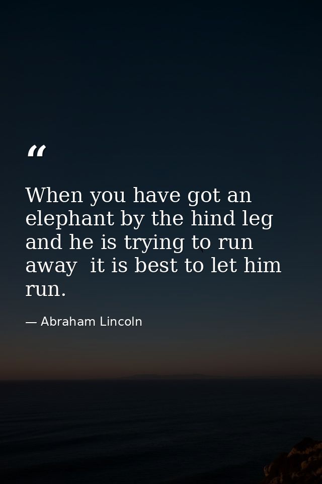 When you have got an elephant by the hind leg  and he is trying to run away  it is best to let him run. — Abraham Lincoln