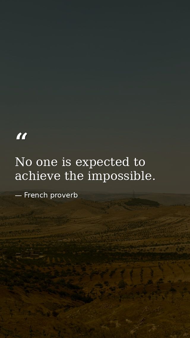 No one is expected to achieve the impossible. — French proverb