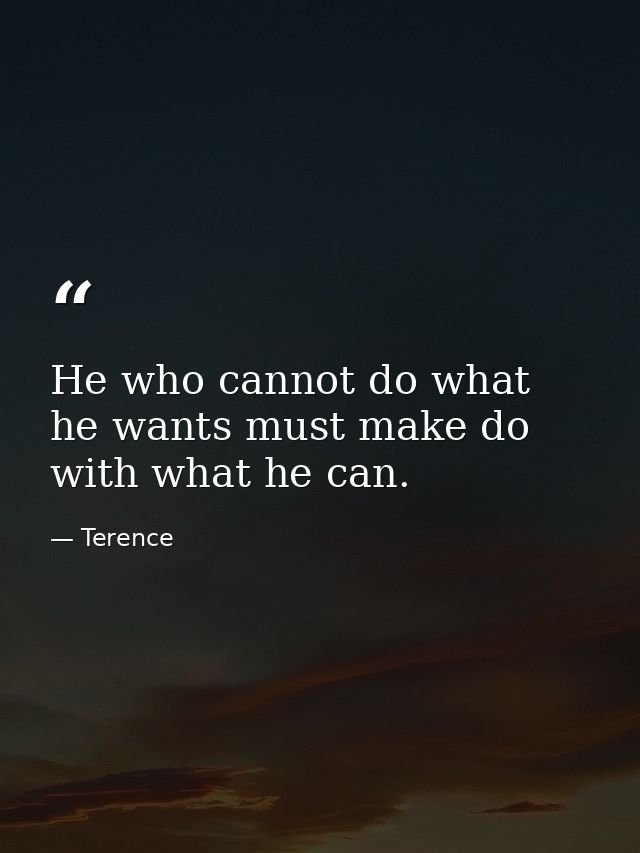 He who cannot do what he wants must make do with what he can. — Terence