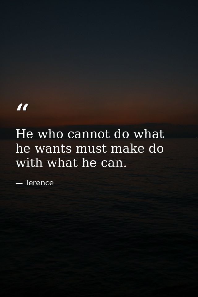 He who cannot do what he wants must make do with what he can. — Terence