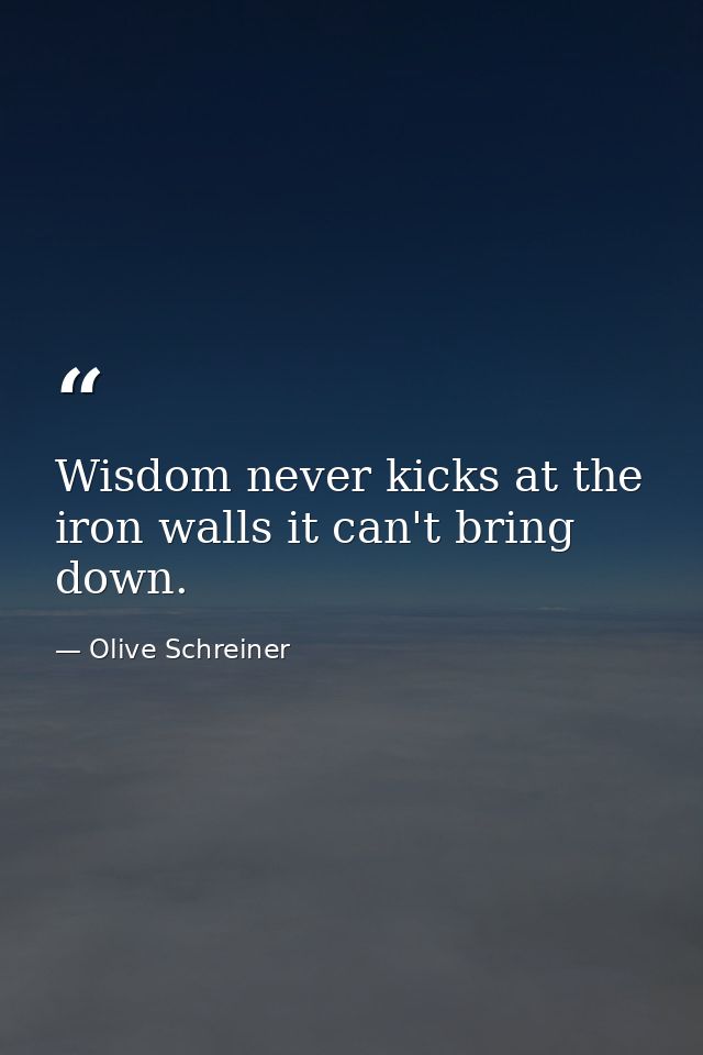 Wisdom never kicks at the iron walls it can't bring down. — Olive Schreiner