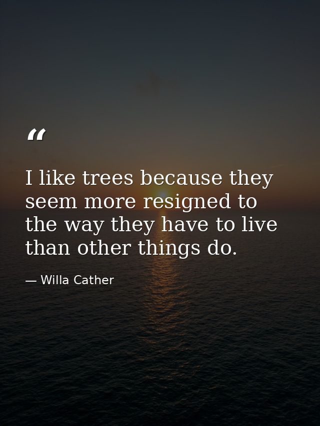 I like trees because they seem more resigned to the way they have to live than other things do. — Willa Cather