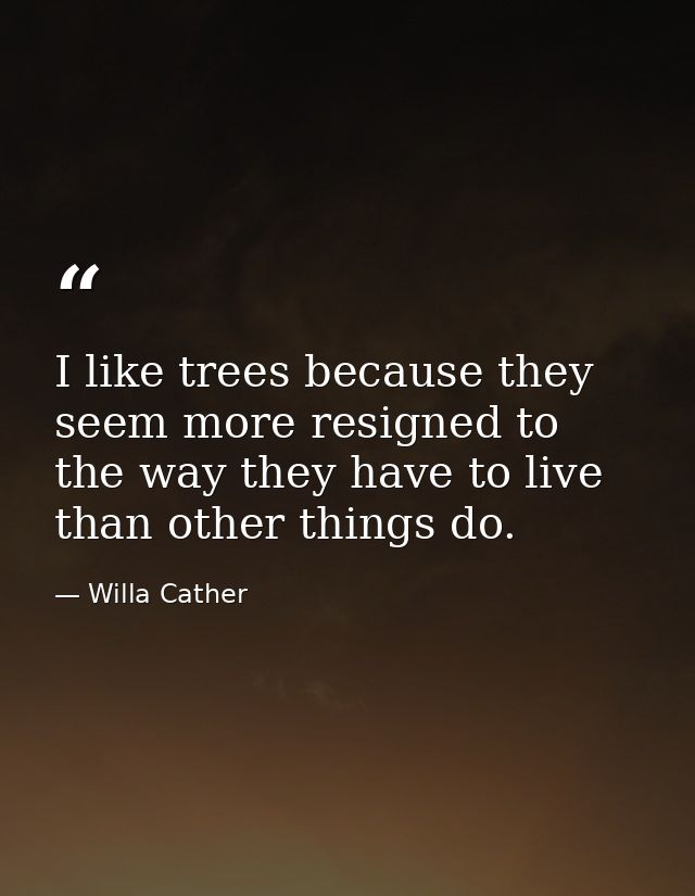 I like trees because they seem more resigned to the way they have to live than other things do. — Willa Cather