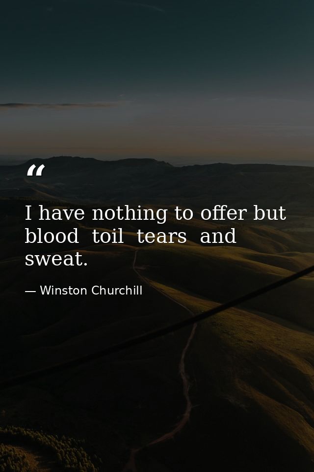 I have nothing to offer but blood  toil  tears  and sweat. — Winston Churchill