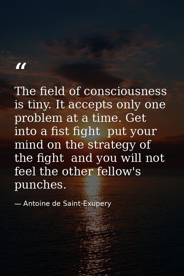 The field of consciousness is tiny. It accepts only one problem at a time. Get into a fist fight  put your mind on the s — Antoine de Saint-Exupery