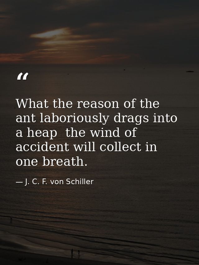 What the reason of the ant laboriously drags into a heap  the wind of accident will collect in one breath. — J. C. F. von Schiller