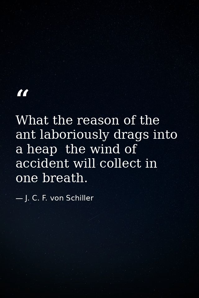 What the reason of the ant laboriously drags into a heap  the wind of accident will collect in one breath. — J. C. F. von Schiller