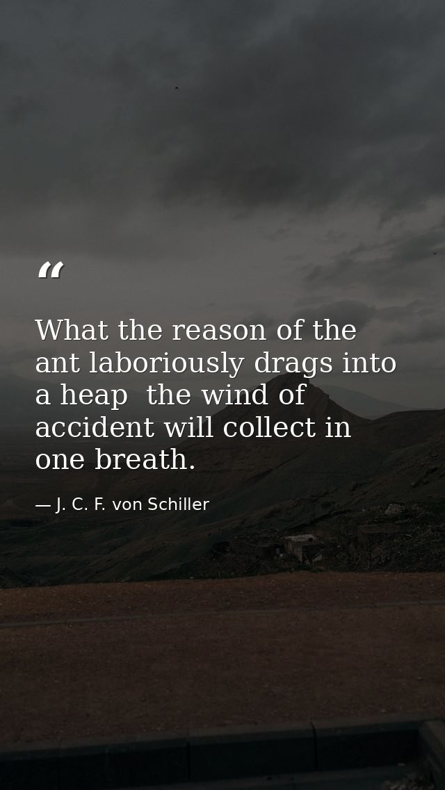 What the reason of the ant laboriously drags into a heap  the wind of accident will collect in one breath. — J. C. F. von Schiller