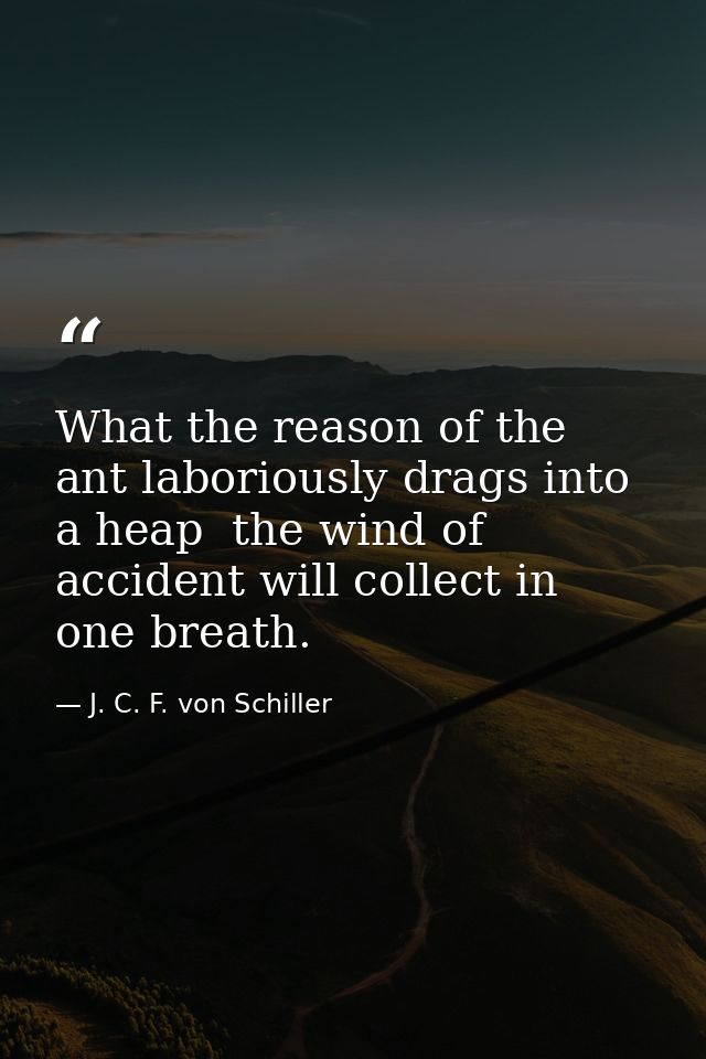 What the reason of the ant laboriously drags into a heap  the wind of accident will collect in one breath. — J. C. F. von Schiller