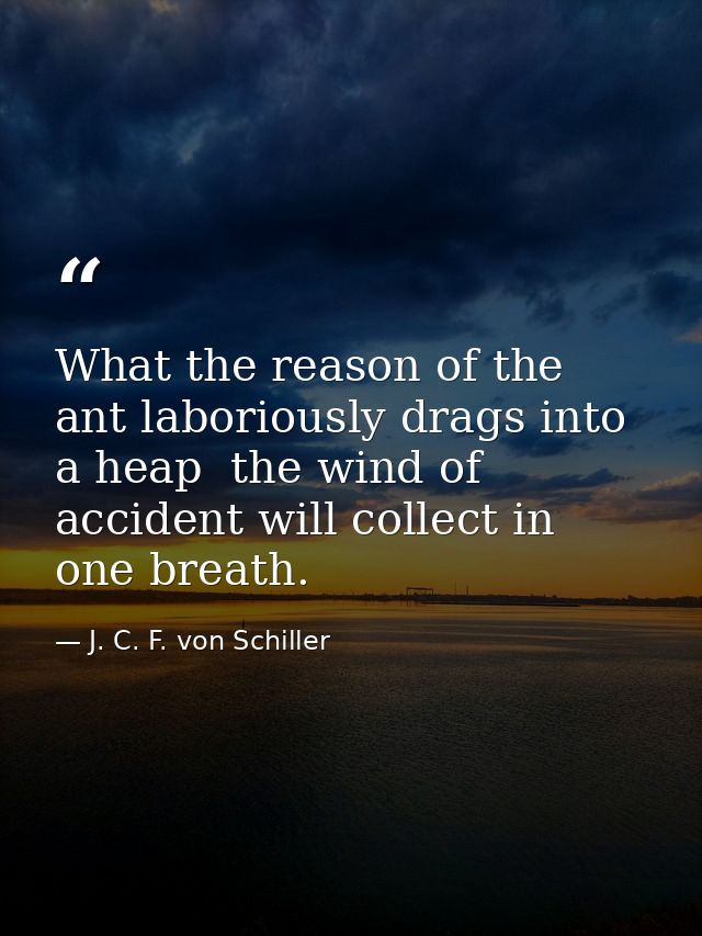 What the reason of the ant laboriously drags into a heap  the wind of accident will collect in one breath. — J. C. F. von Schiller