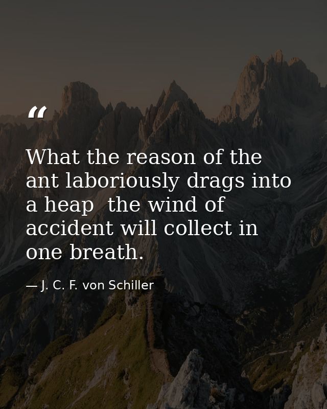 What the reason of the ant laboriously drags into a heap  the wind of accident will collect in one breath. — J. C. F. von Schiller