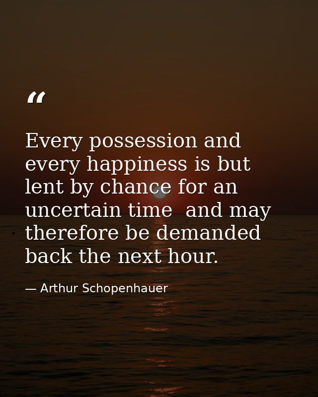 Every possession and every happiness is but lent by chance for an uncertain time  and may therefore be demanded back the — Arthur Schopenhauer