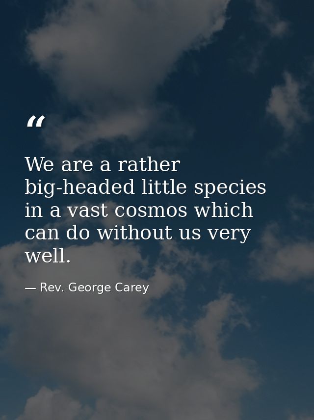 We are a rather big-headed little species in a vast cosmos which can do without us very well. — Rev. George Carey