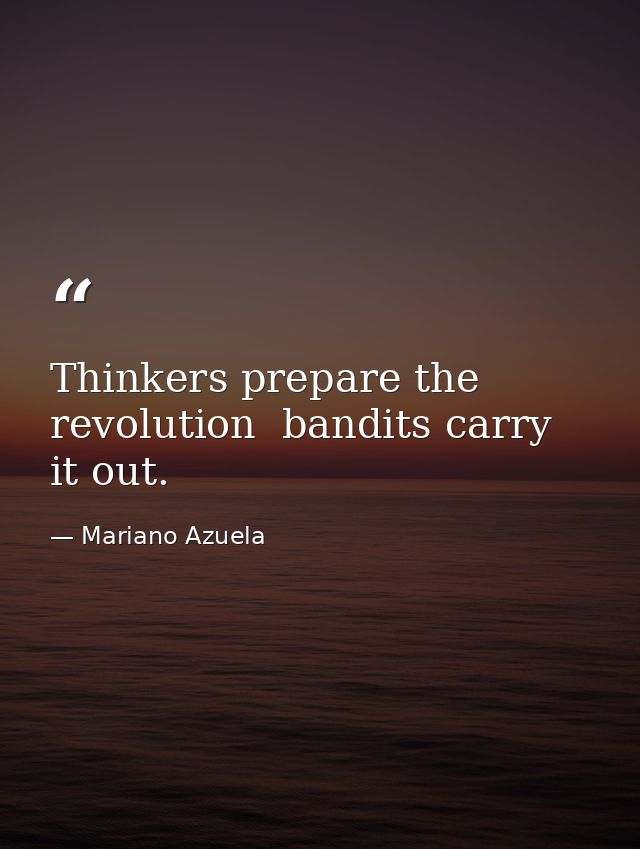 Thinkers prepare the revolution  bandits carry it out. — Mariano Azuela