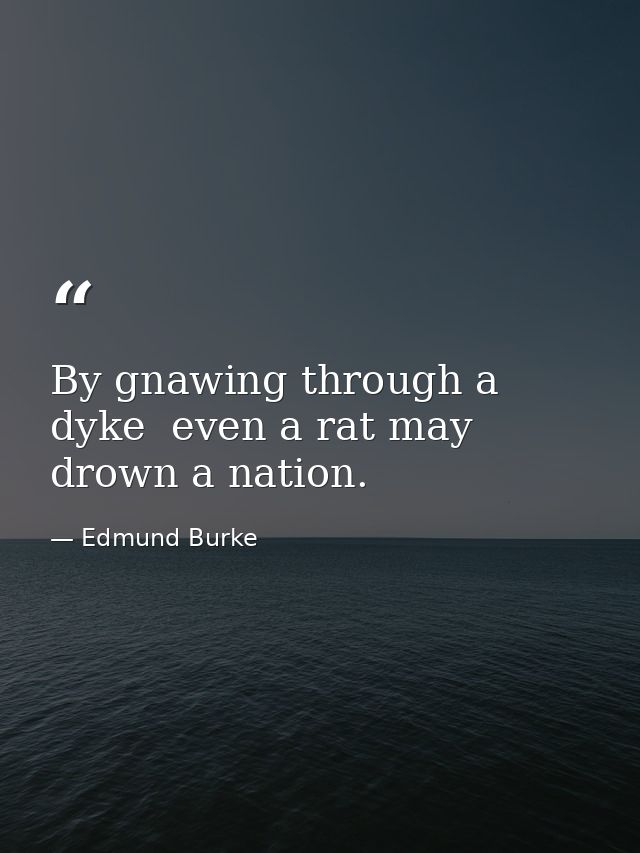 By gnawing through a dyke  even a rat may drown a nation. — Edmund Burke
