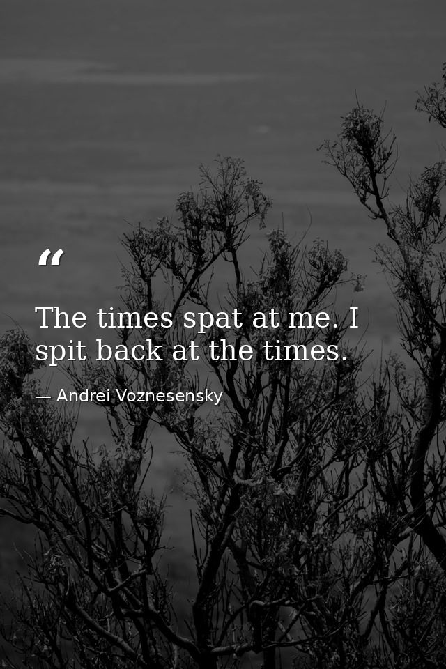 The times spat at me. I spit back at the times. — Andrei Voznesensky