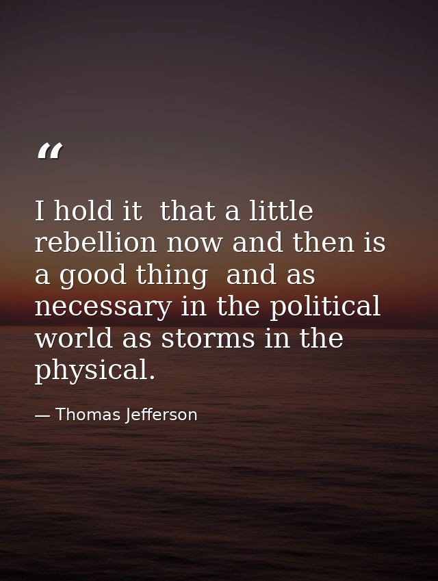 I hold it  that a little rebellion now and then is a good thing  and as necessary in the political world as storms in th — Thomas Jefferson