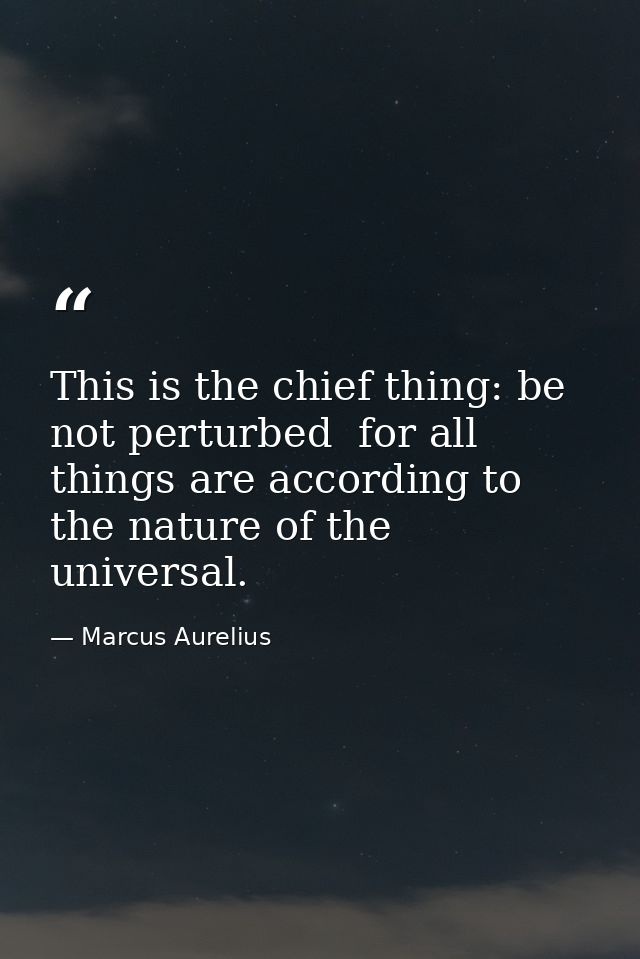 This is the chief thing: be not perturbed  for all things are according to the nature of the universal. — Marcus Aurelius