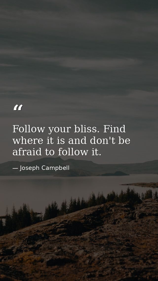 Follow your bliss. Find where it is and don't be afraid to follow it. — Joseph Campbell