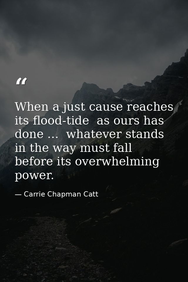 When a just cause reaches its flood-tide  as ours has done ...  whatever stands in the way must fall before its overwhel — Carrie Chapman Catt