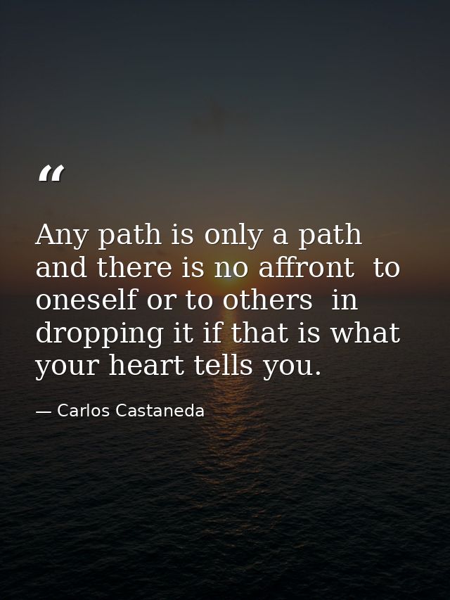 Any path is only a path  and there is no affront  to oneself or to others  in dropping it if that is what your heart tel — Carlos Castaneda