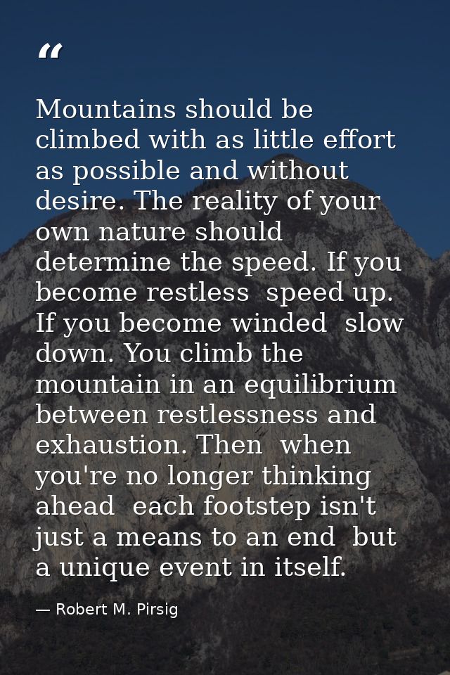 Mountains should be climbed with as little effort as possible and without desire. The reality of your own nature should  — Robert M. Pirsig