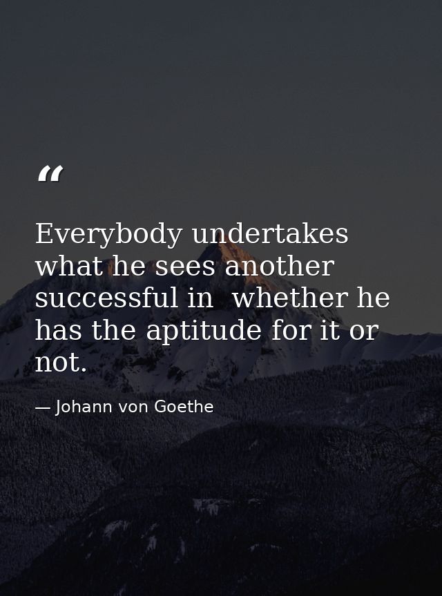 Everybody undertakes what he sees another successful in  whether he has the aptitude for it or not. — Johann von Goethe
