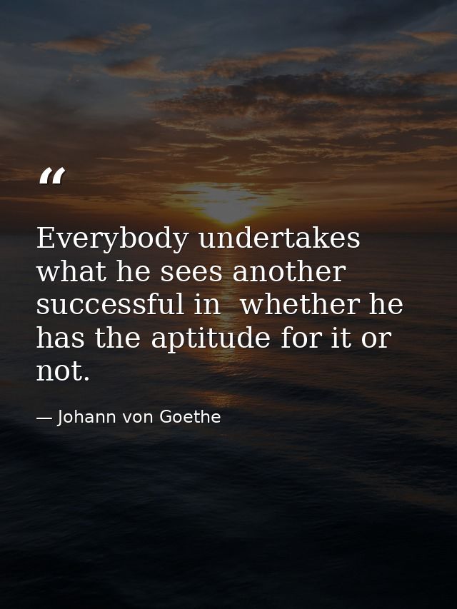 Everybody undertakes what he sees another successful in  whether he has the aptitude for it or not. — Johann von Goethe
