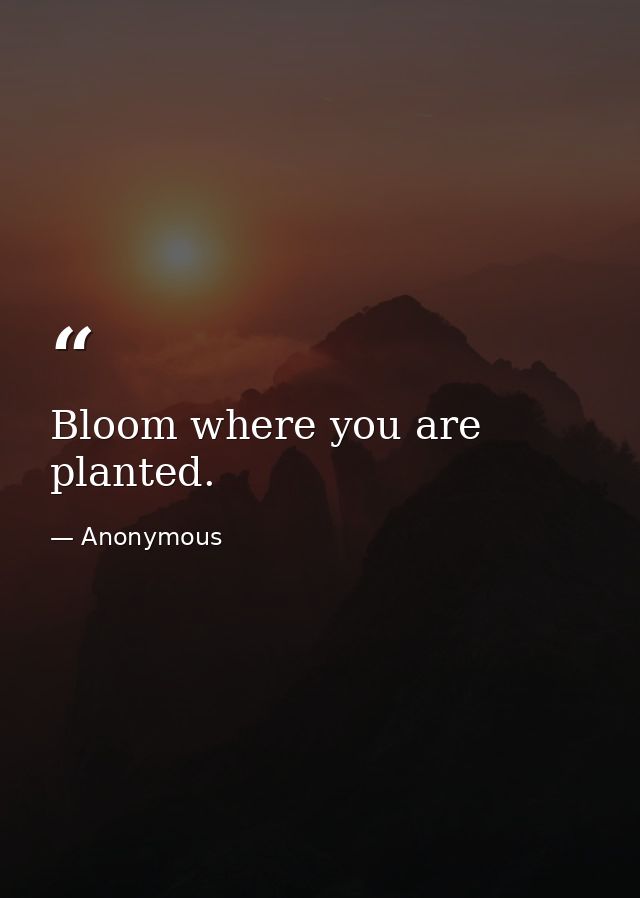 Bloom where you are planted. — Anonymous