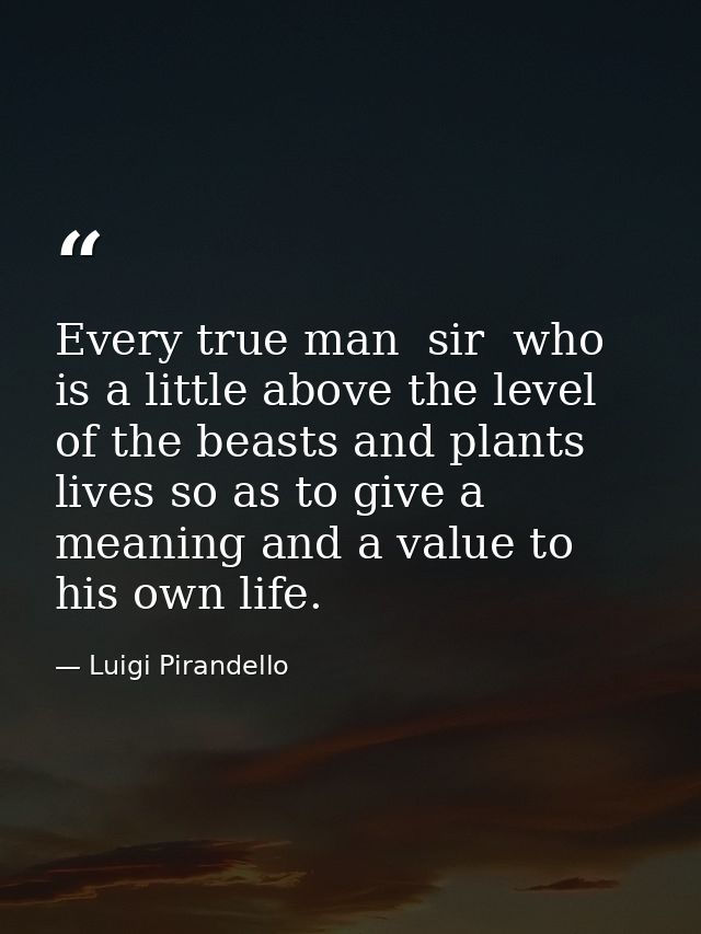 Every true man  sir  who is a little above the level of the beasts and plants  lives so as to give a meaning and a value — Luigi Pirandello