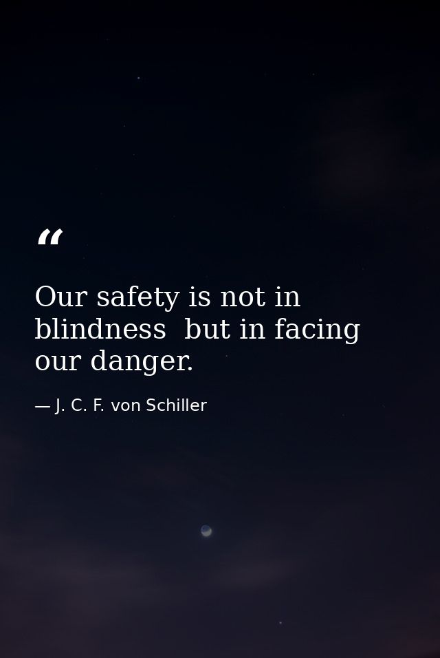 Our safety is not in blindness  but in facing our danger. — J. C. F. von Schiller