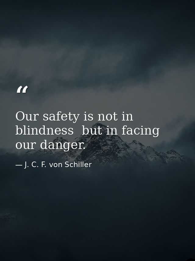 Our safety is not in blindness  but in facing our danger. — J. C. F. von Schiller