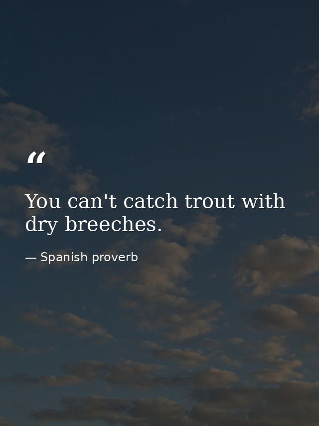 You can't catch trout with dry breeches. — Spanish proverb
